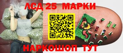 гидра Заводоуковск