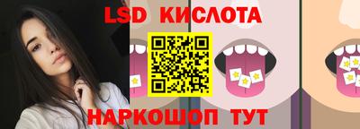 гидра Заводоуковск