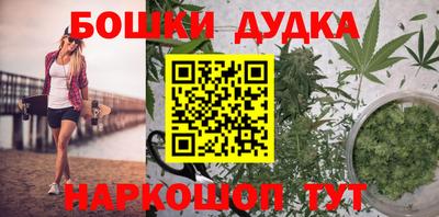 гидра Заводоуковск
