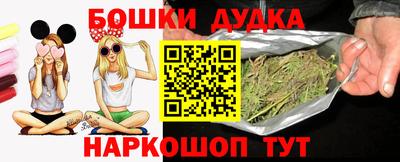 гидра Заводоуковск