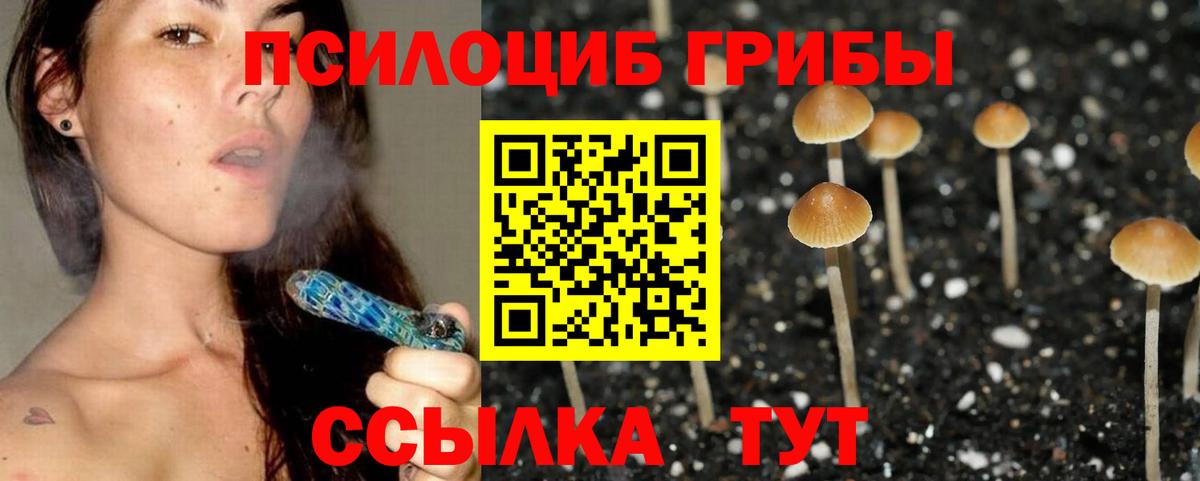 Галлюциногенные грибы мицелий  Вход с VPN  Златоуст 